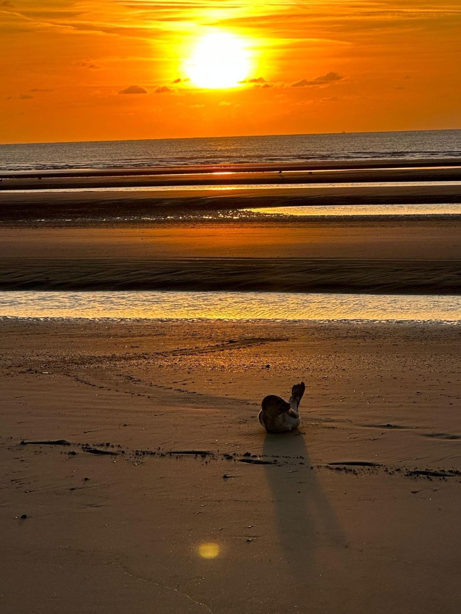 Penthouse Vakantielust Blankenberge Esterno foto